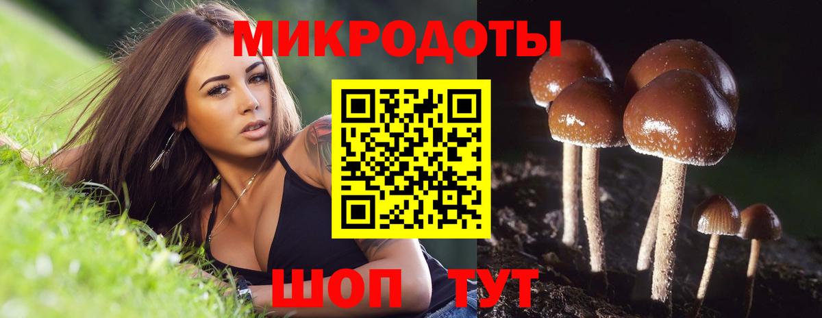 что такое наркотик  Галлюциногенные грибы мицелий  Галлюциногенные грибы Cubensis  Вход с VPN  Новотроицк 